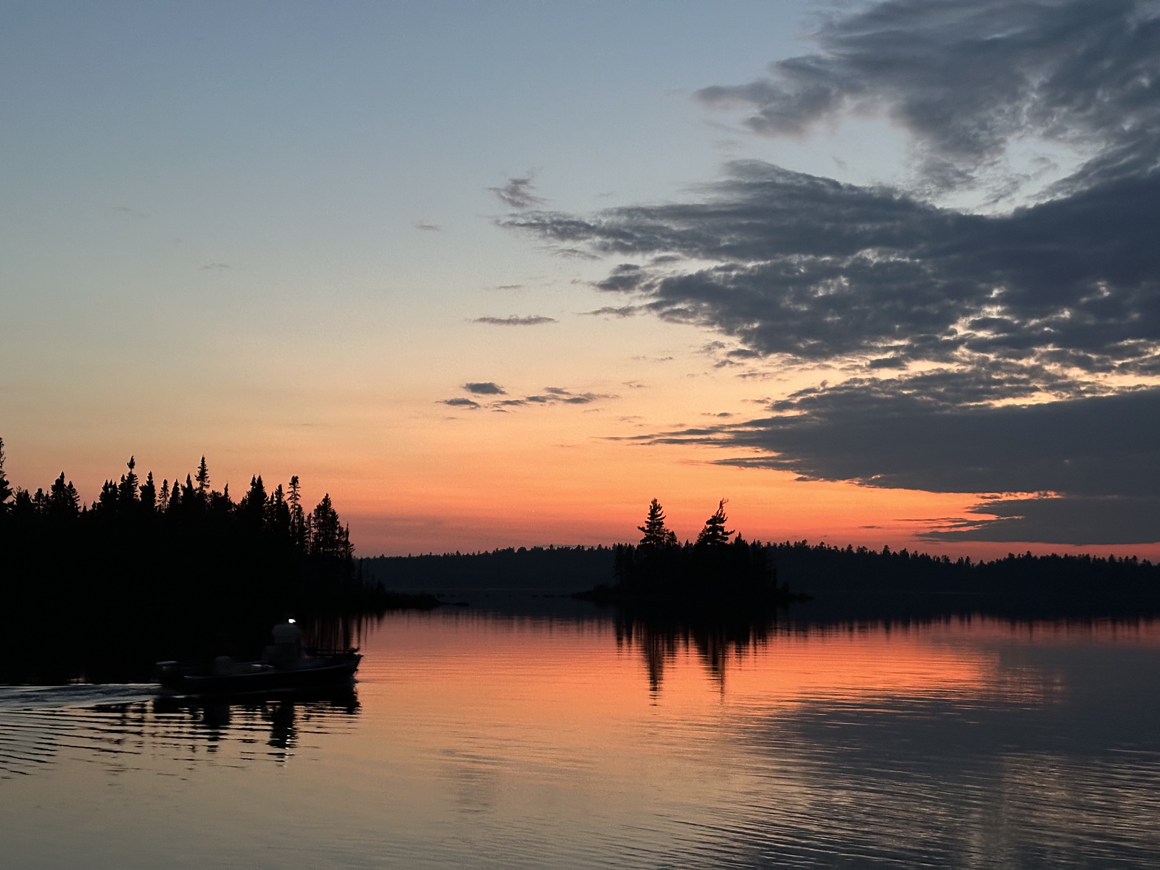 Lake sunset with forest silhouette